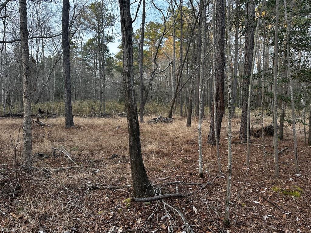 1.58ac General Thomas Hwy Property Photo 12