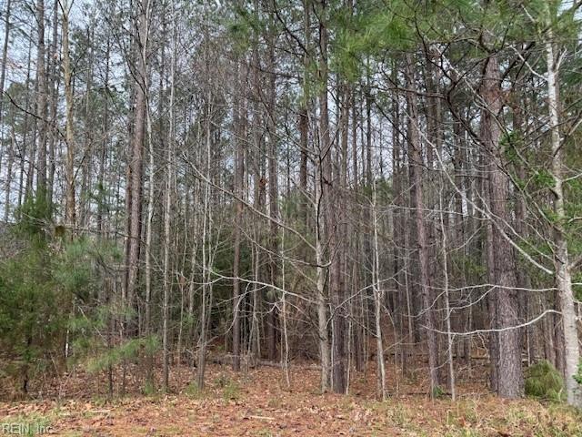 11794 Red Cross Bill Way Property Photo 2