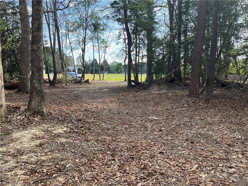 Lot 2 Eagle Lane Property Photo 1