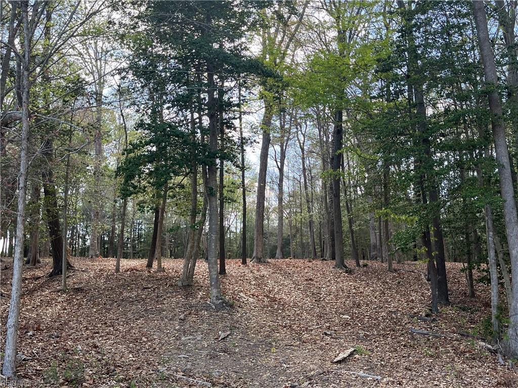 Lot 2 Eagle Lane Property Photo 2