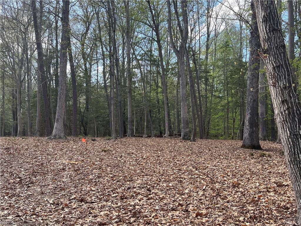 Lot 2 Eagle Lane Property Photo 4