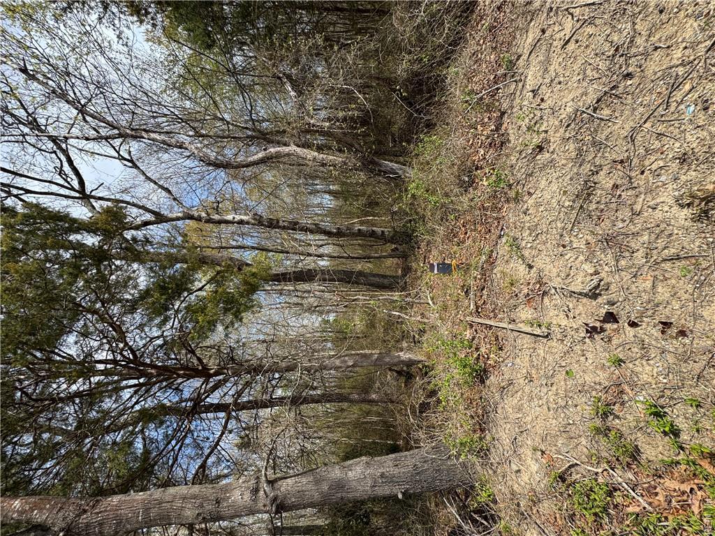 4.51ac Hog Island Rd Property Photo 10