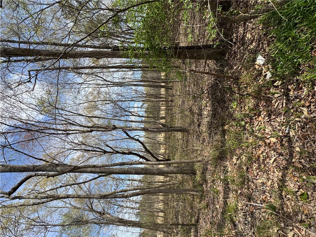 4.51ac Hog Island Rd Property Photo 14