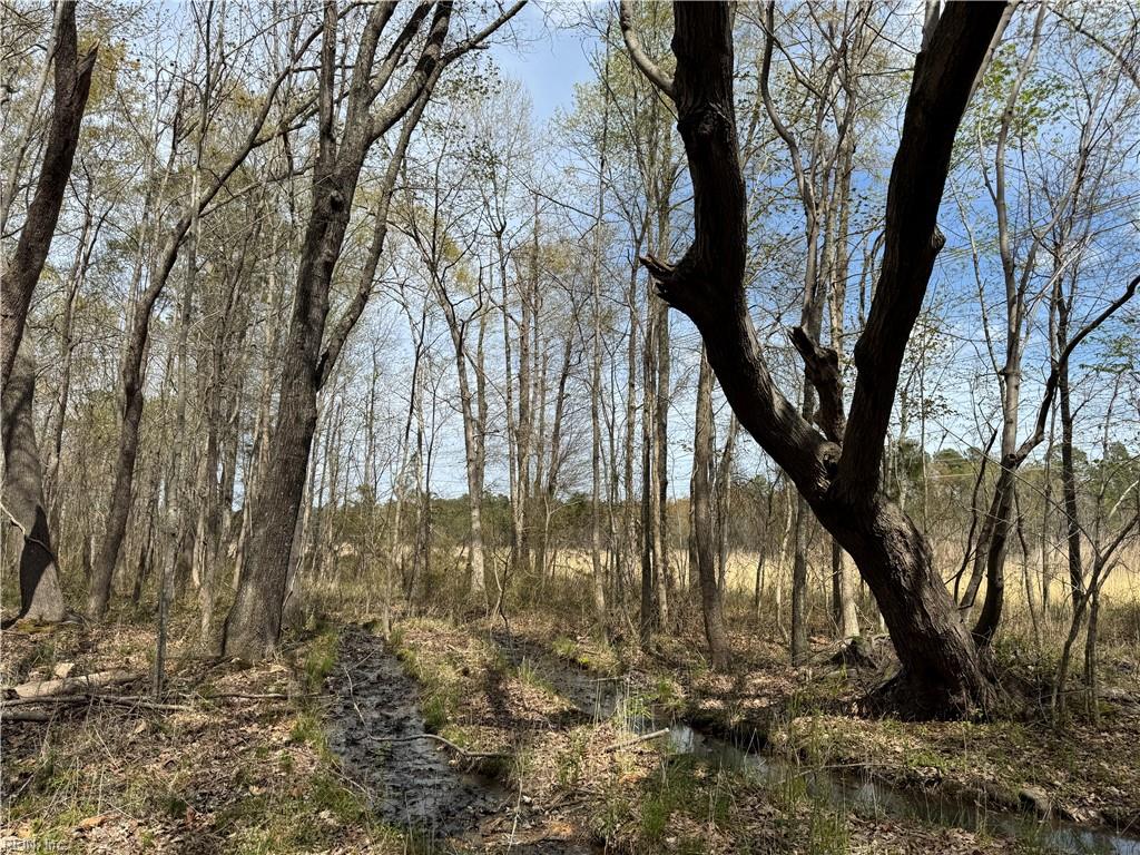 4.51ac Hog Island Rd Property Photo 16