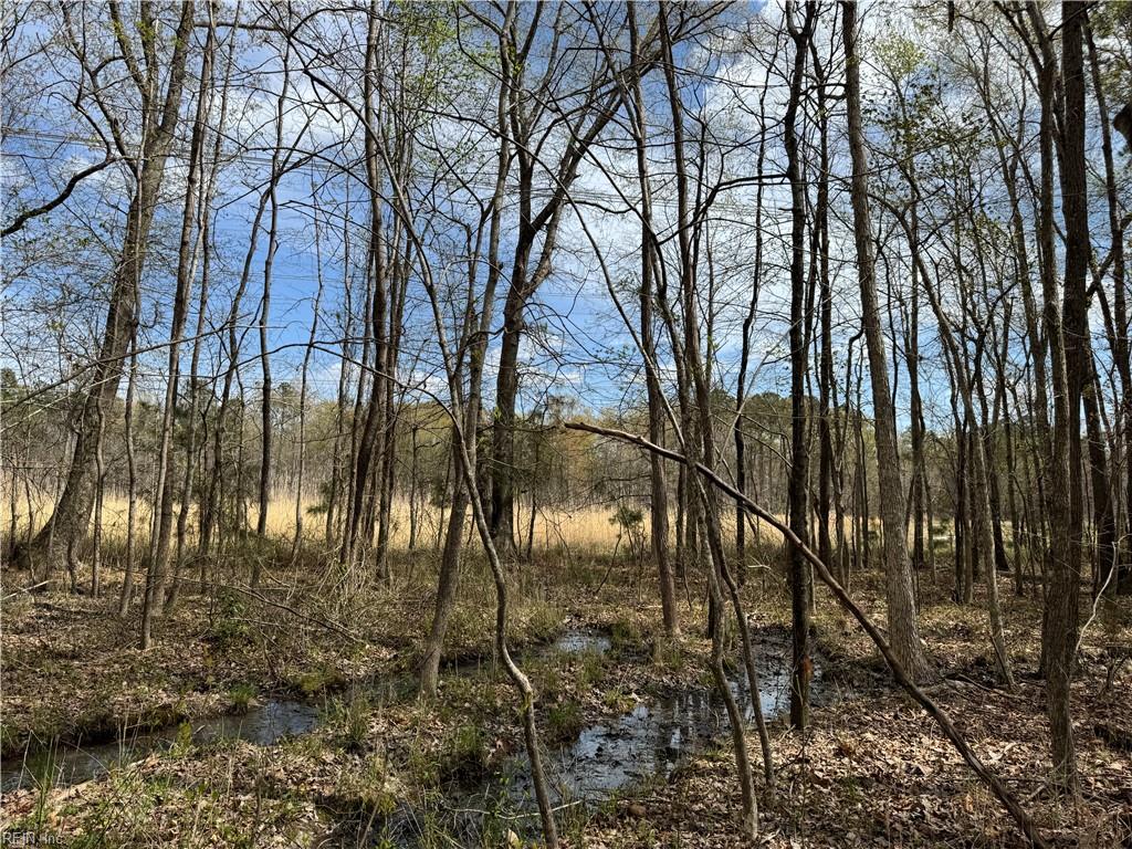 4.51ac Hog Island Rd Property Photo 17