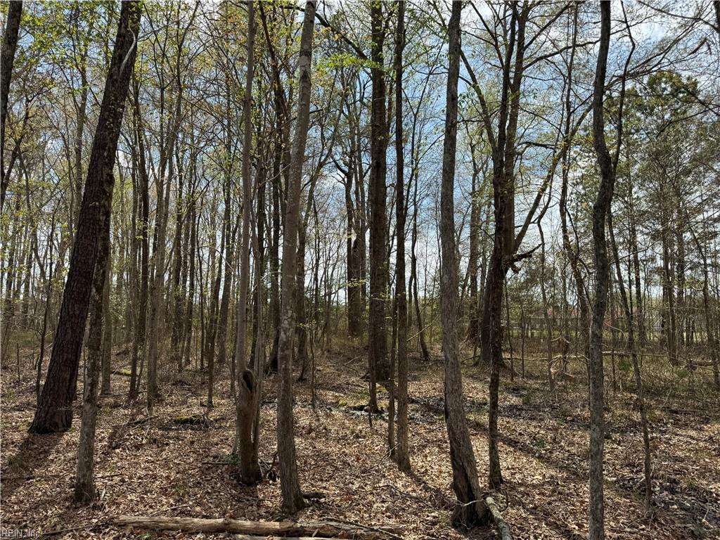 4.51ac Hog Island Rd Property Photo 19