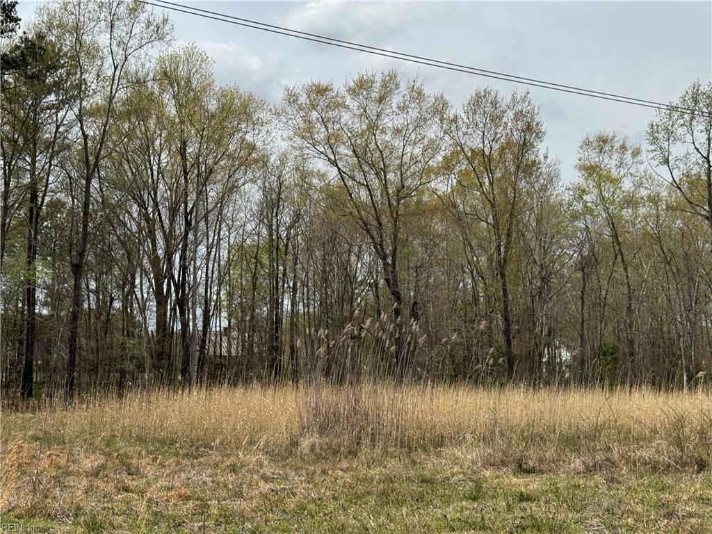4.51ac Hog Island Rd Property Photo 24
