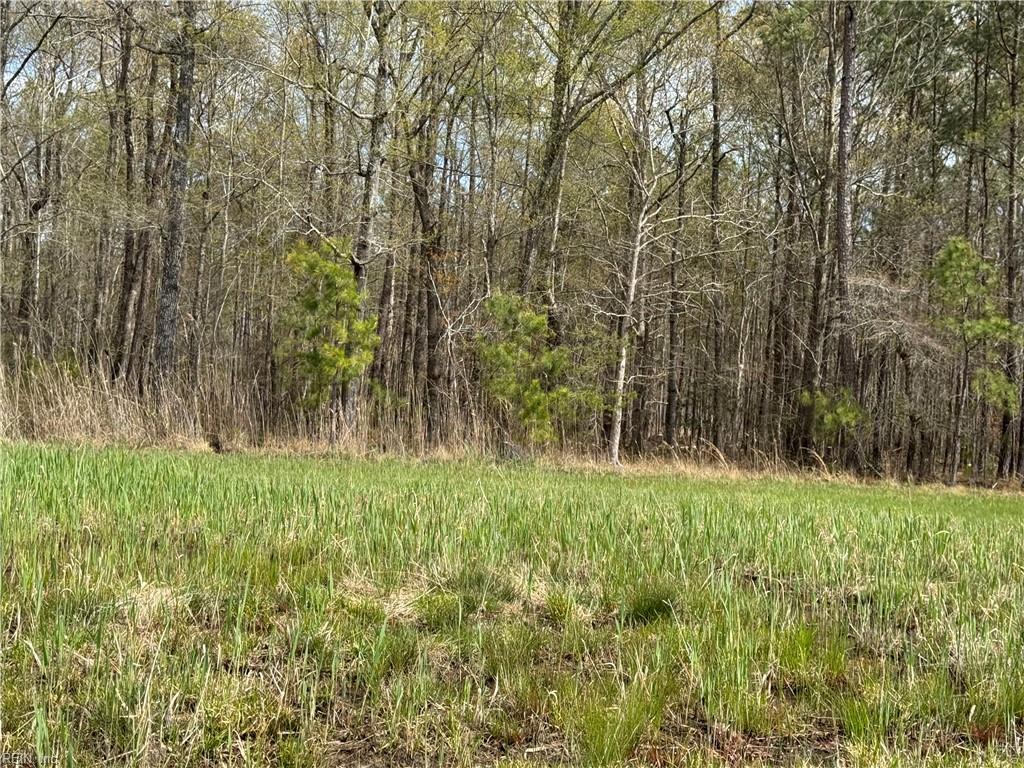 4.51ac Hog Island Rd Property Photo 25