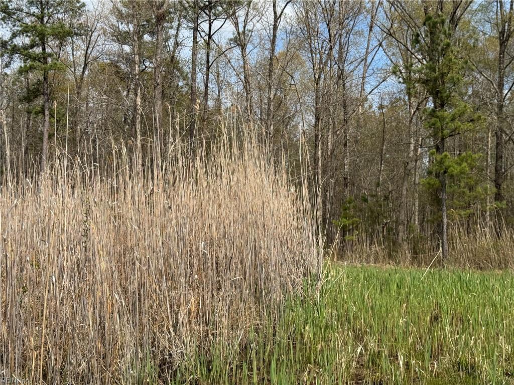 4.51ac Hog Island Rd Property Photo 26