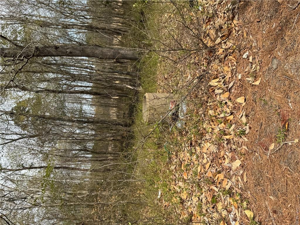 4.51ac Hog Island Rd Property Photo 36