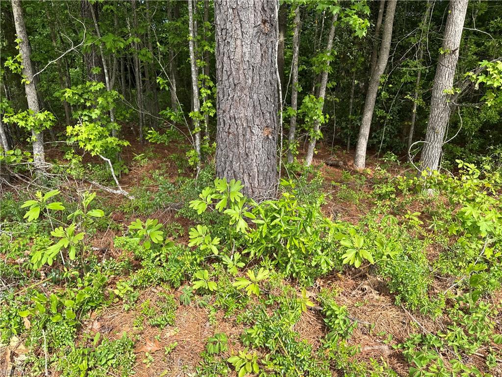 4.51ac Hog Island Rd Property Photo 39