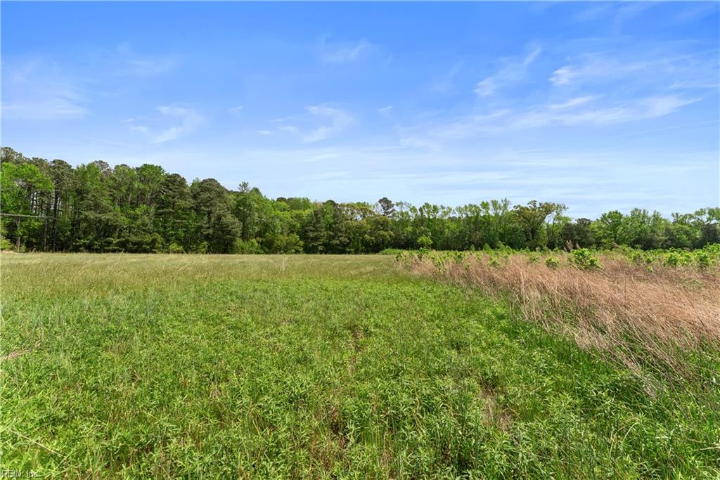 909 Murphys Mill Rd Property Photo 15