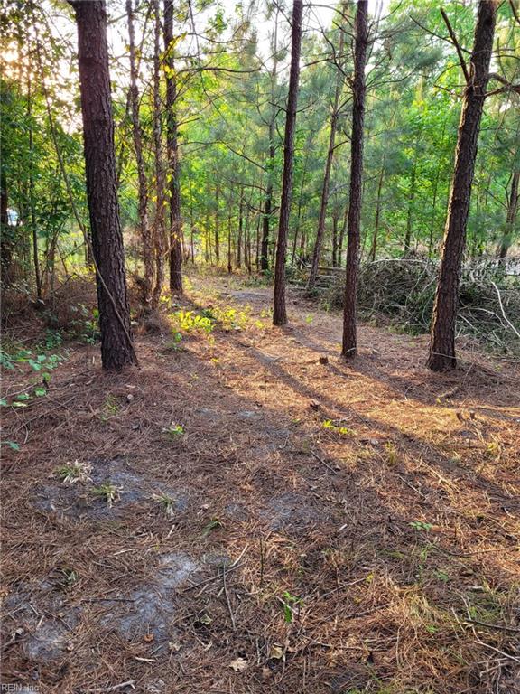 801 Brick Yard Rd Property Photo 6