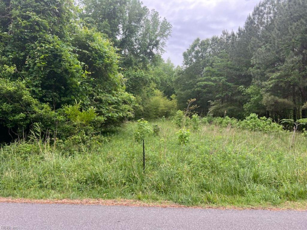 1 Acre Mansion Ave Property Photo 2