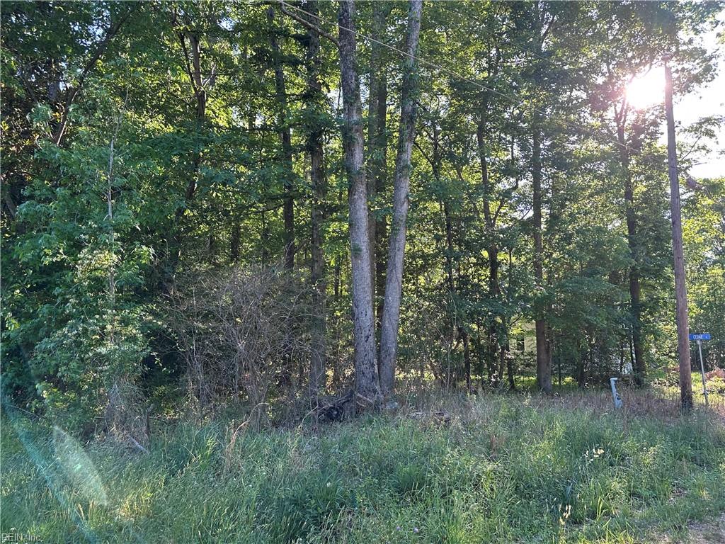 .26ac Cypress Trl Property Photo 1