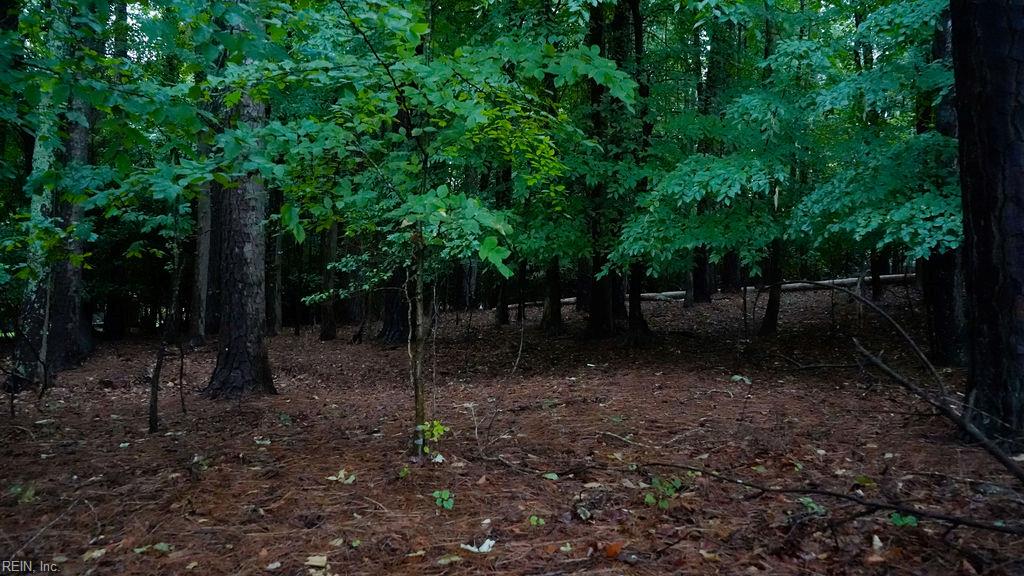 1350 Moyer Rd Property Photo 14