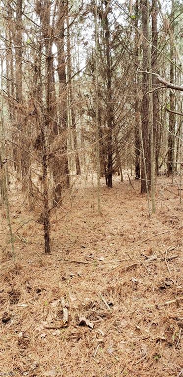 949 Cherry Grove Rd N Property Photo 3