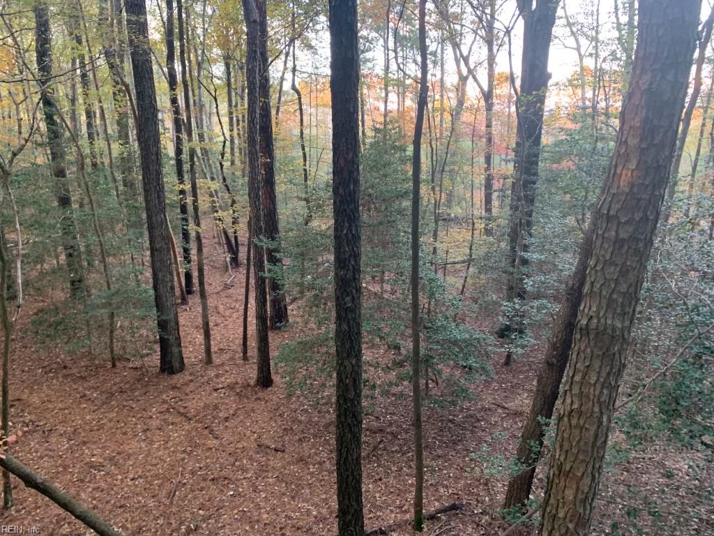 10+ac Groton Tract A Woods Property Photo 2