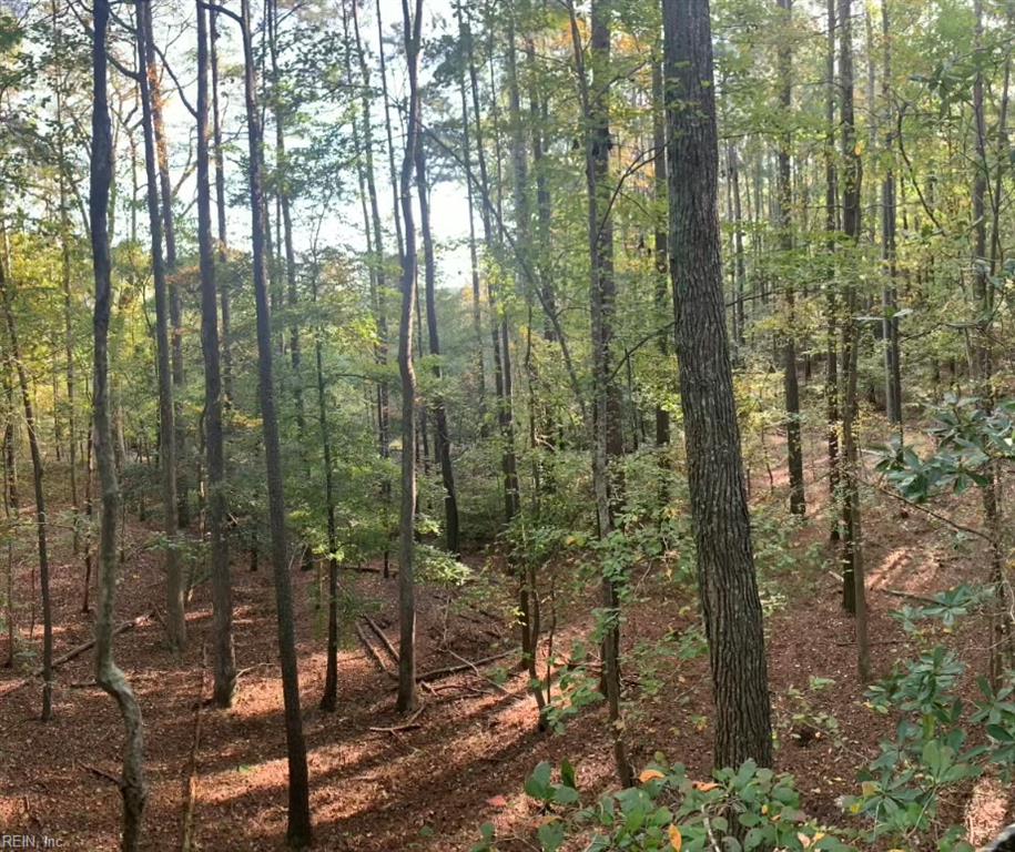 10+ac Groton Tract A Woods Property Photo 3
