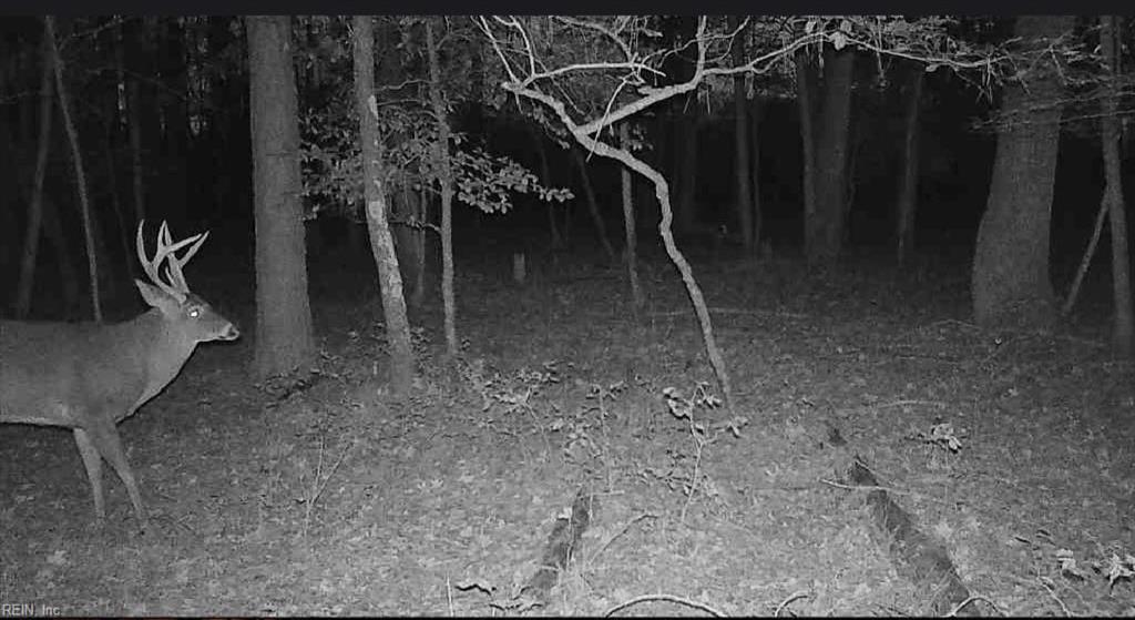 10+ac Groton Tract A Woods Property Photo 10