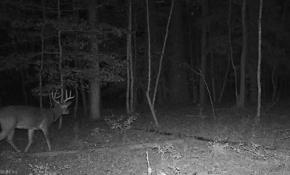 10+ac Groton Tract A Woods Property Photo 13