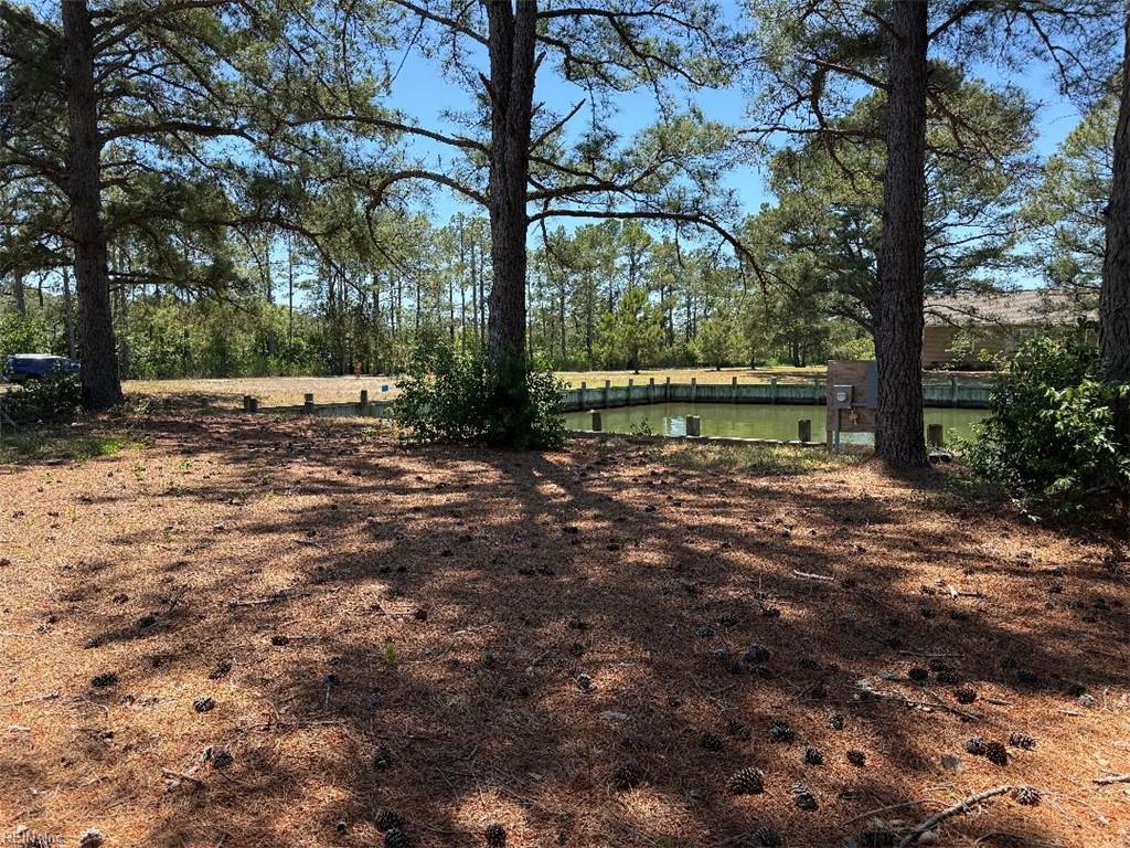 1 Black Mallard Way Property Photo 2