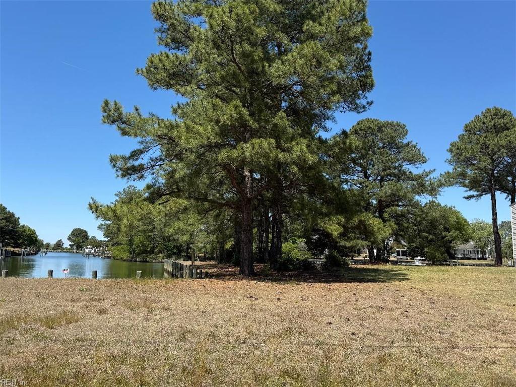 1 Black Mallard Way Property Photo 4