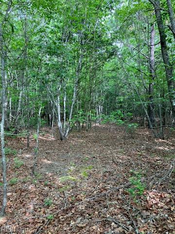 .55acs E Nottoway Dr Property Photo 3