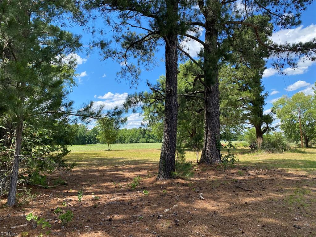 11443 Whitehead Rd Property Photo 3