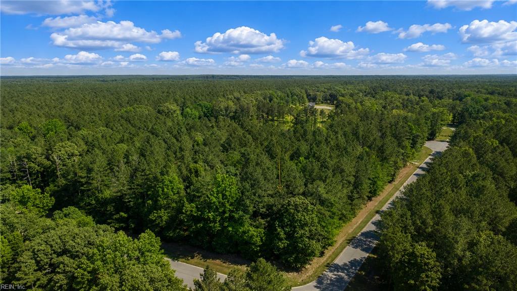 Lot 42 Forest View Ln Property Photo 3