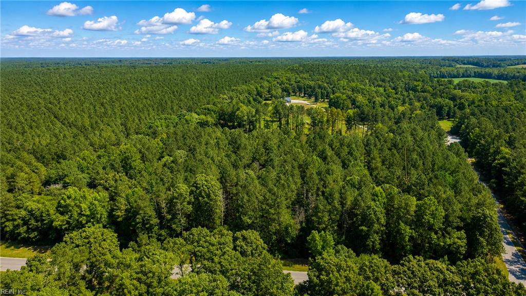 Lot 42 Forest View Ln Property Photo 4