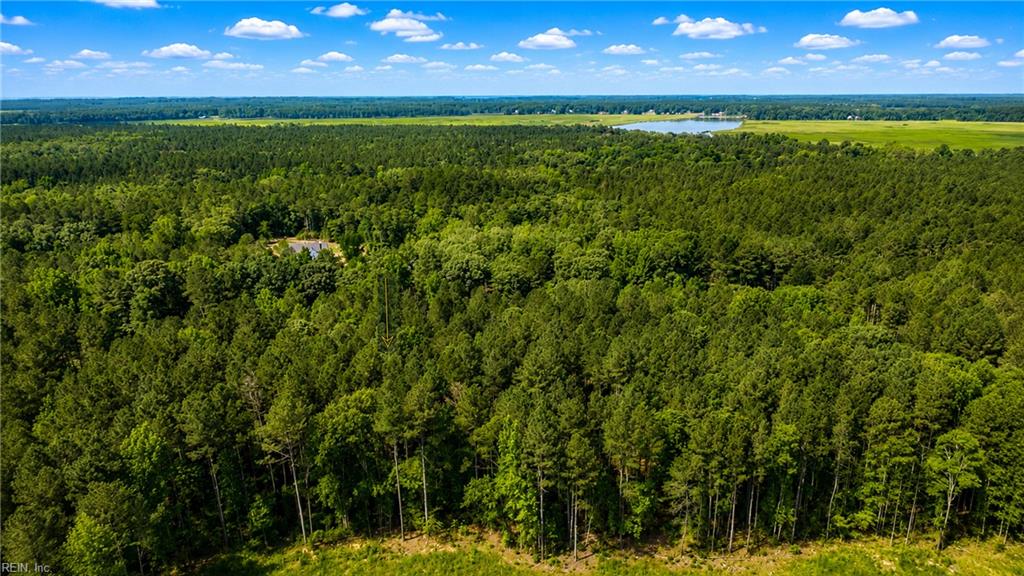 Lot 42 Forest View Ln Property Photo 6