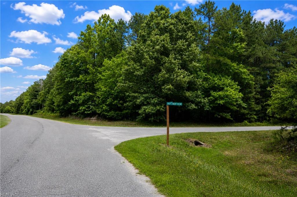 Lot 42 Forest View Ln Property Photo 15