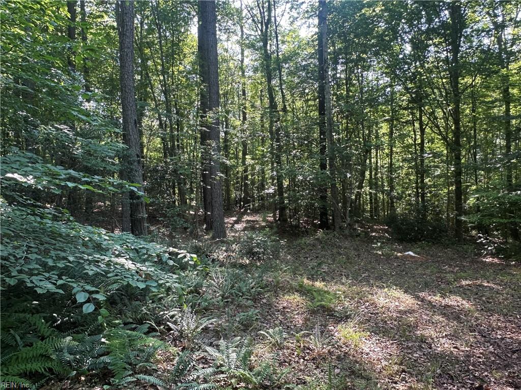 8811 Chipsin Path Property Photo 26