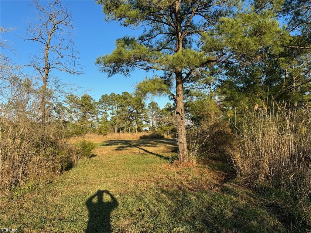 151 Messick Rd Property Photo 6