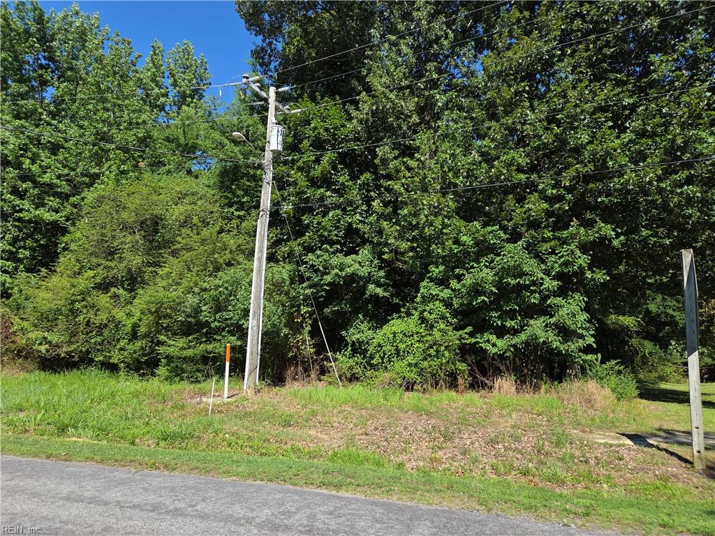 Lot 1 Branch Bridge ST Property Photo 1