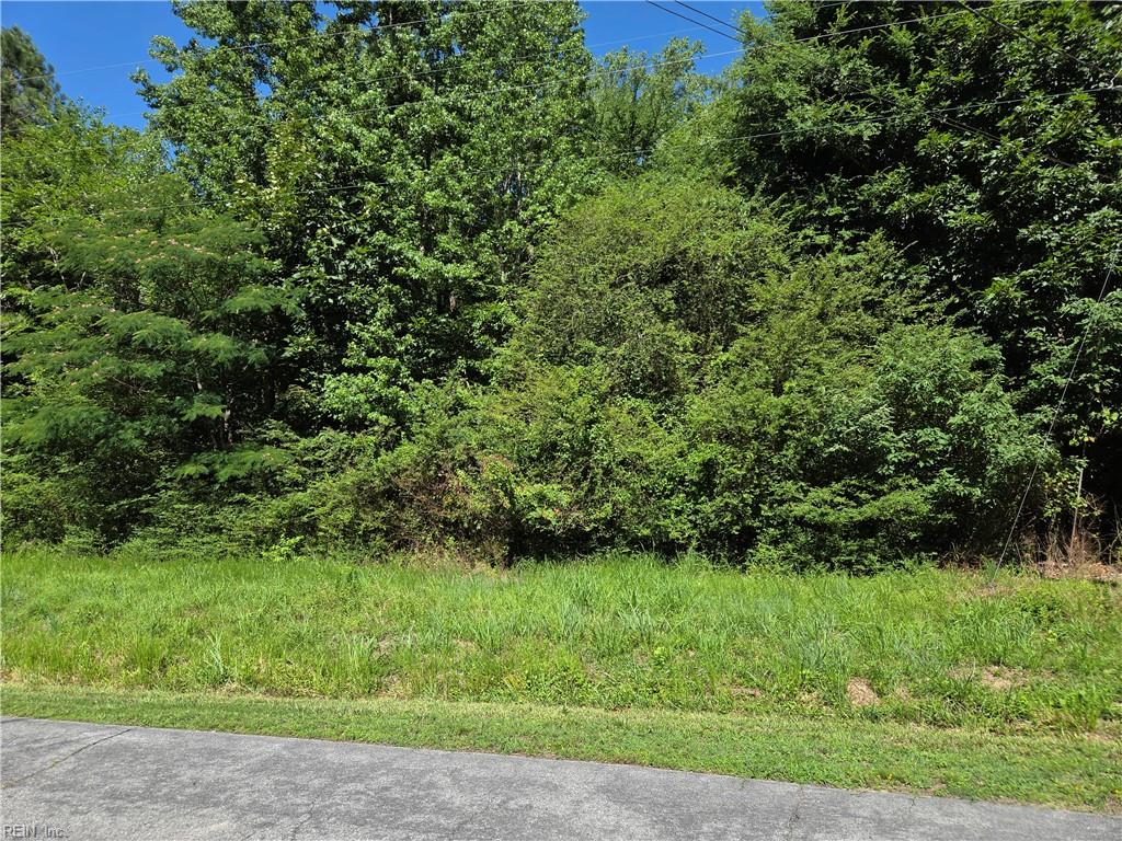 Lot 2 Branch Bridge ST Property Photo 1