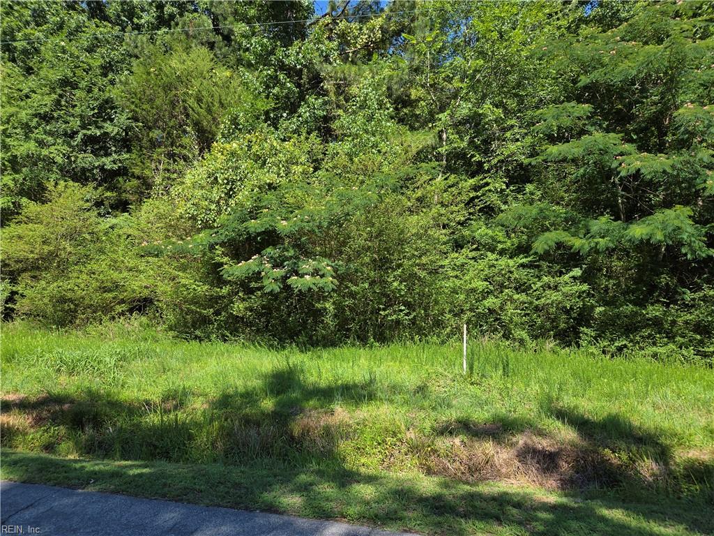 Lot 3 Branch Bridge St Property Photo 1
