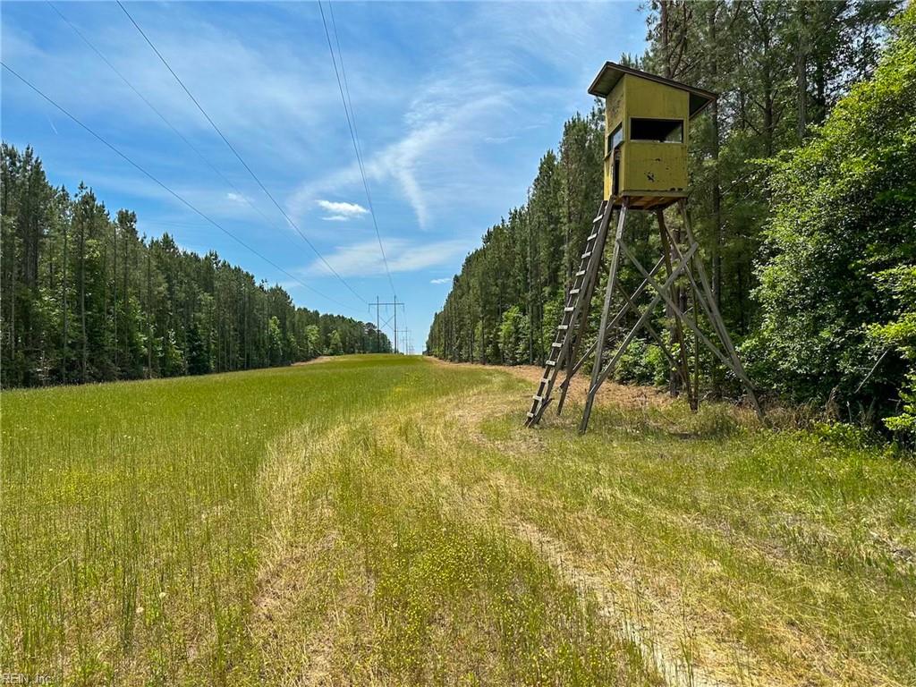 145ac Moore's Ferry Rd Property Photo 3