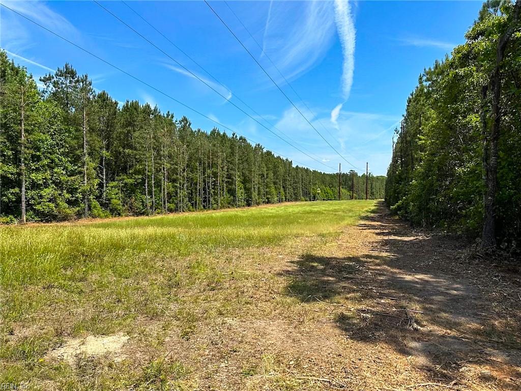 145ac Moore's Ferry Rd Property Photo 6