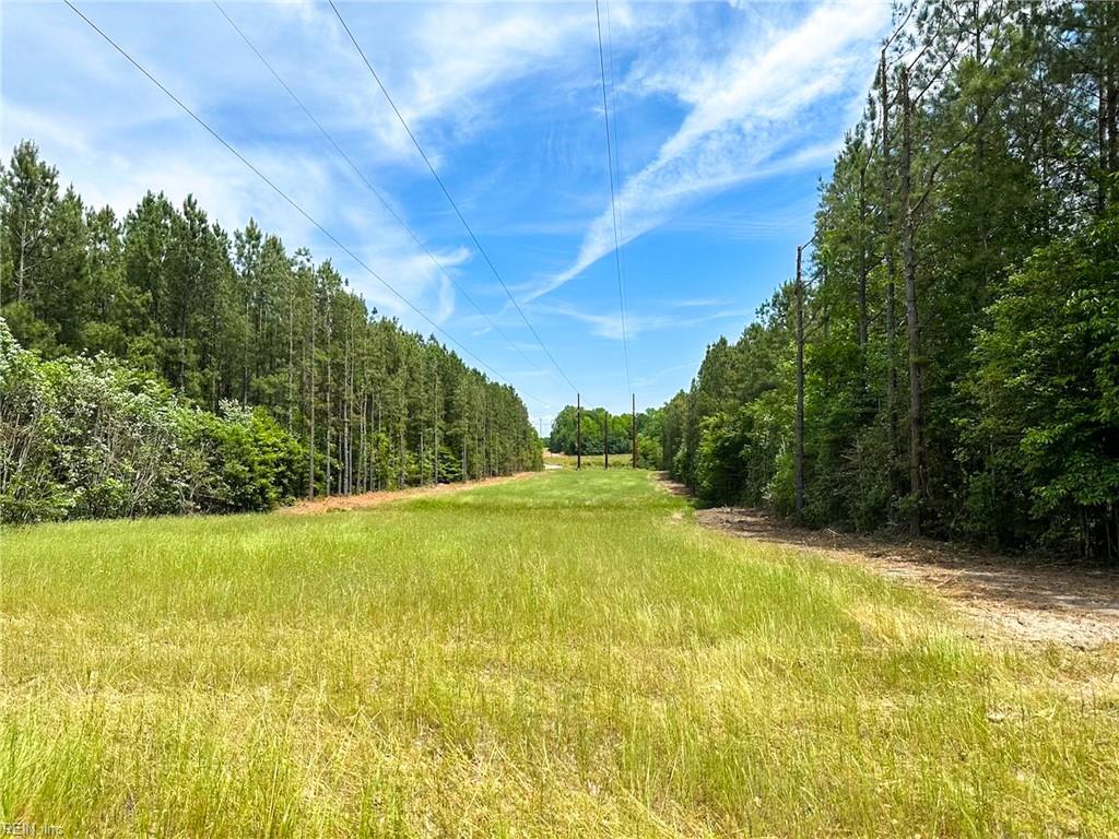 145ac Moore's Ferry Rd Property Photo 7