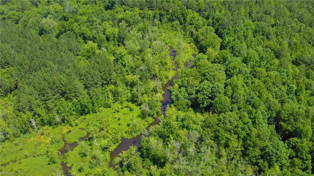 145ac Moore's Ferry Rd Property Photo 14