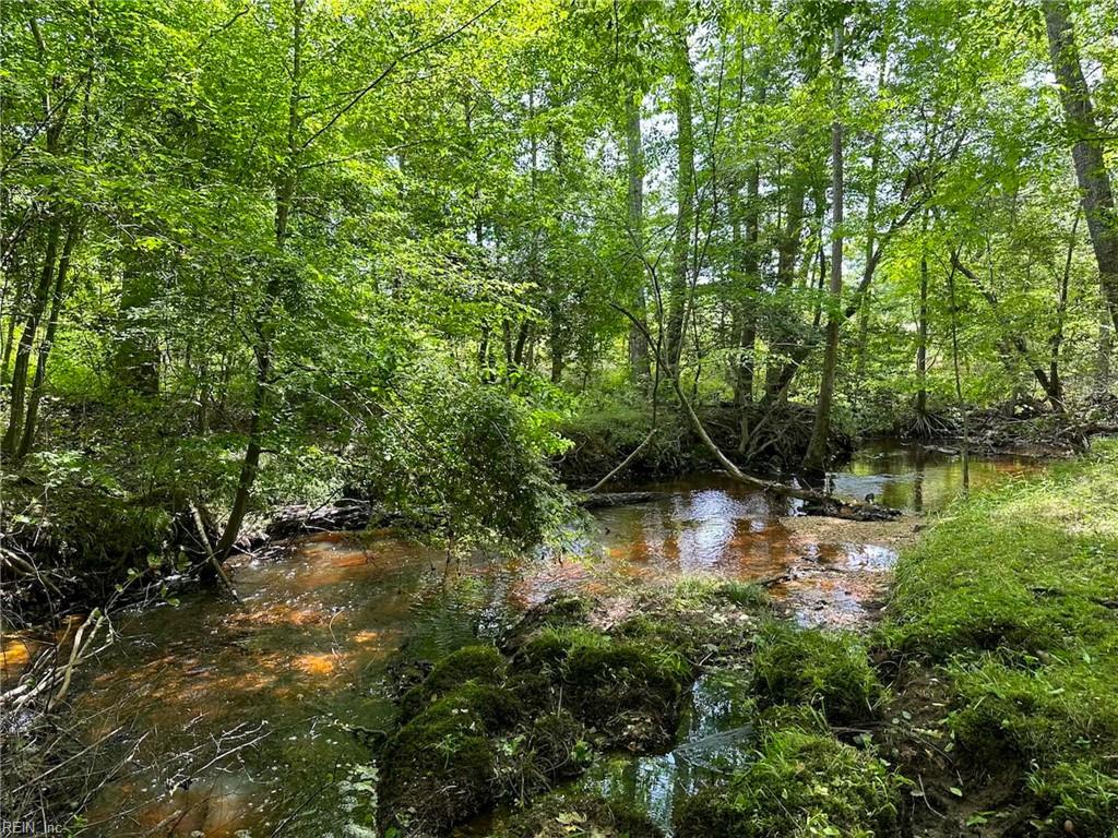 145ac Moore's Ferry Rd Property Photo 15
