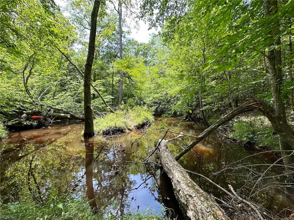 145ac Moore's Ferry Rd Property Photo 16