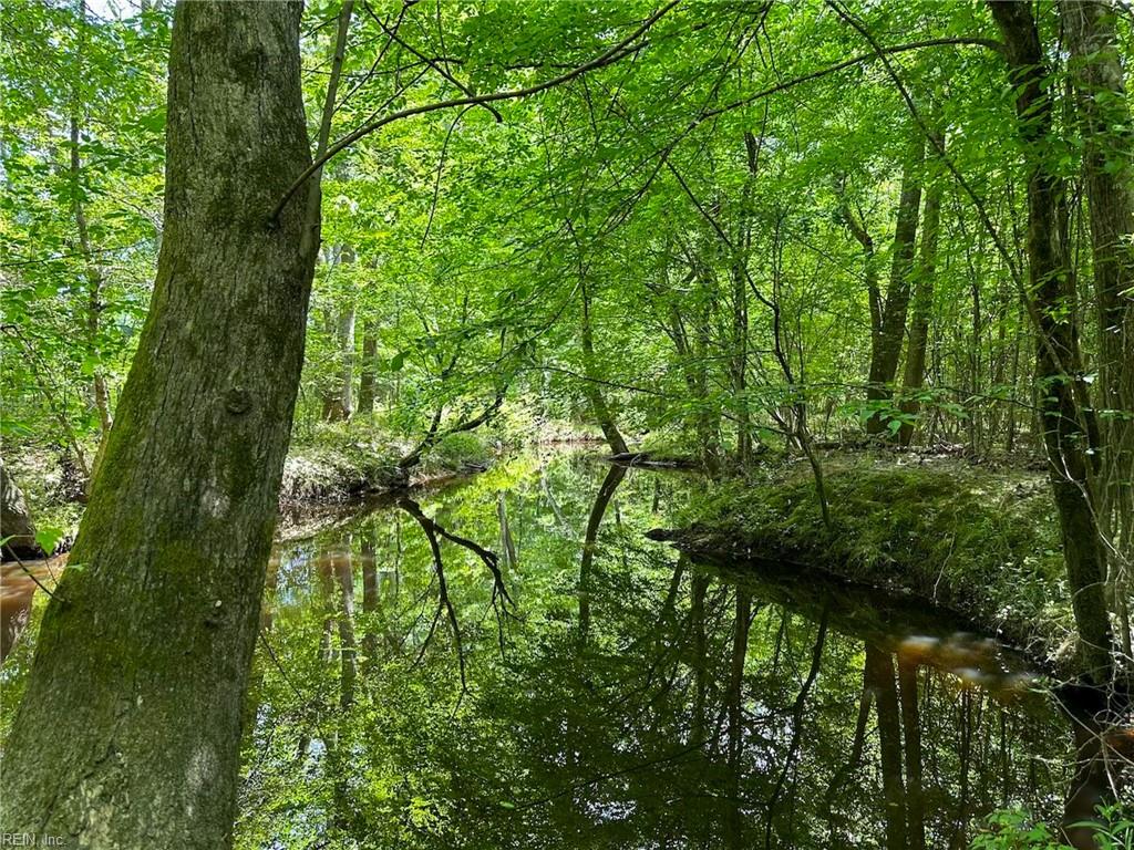 145ac Moore's Ferry Rd Property Photo 17