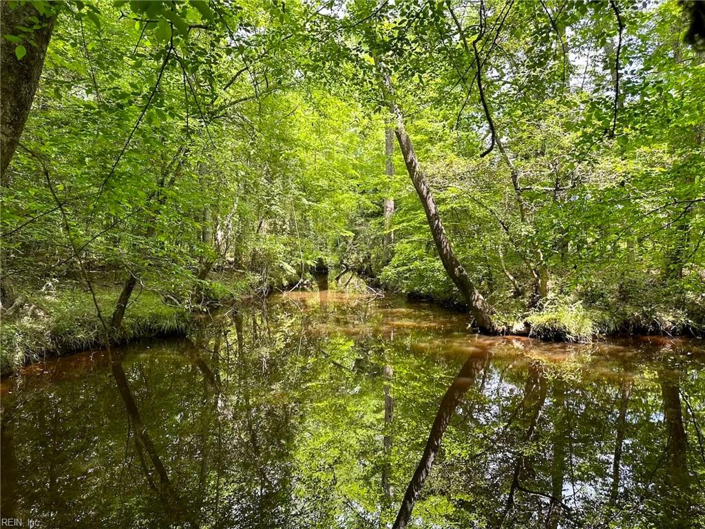 145ac Moore's Ferry Rd Property Photo 18