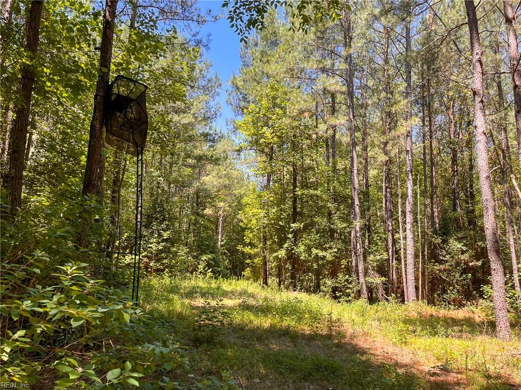 145ac Moore's Ferry Rd Property Photo 20