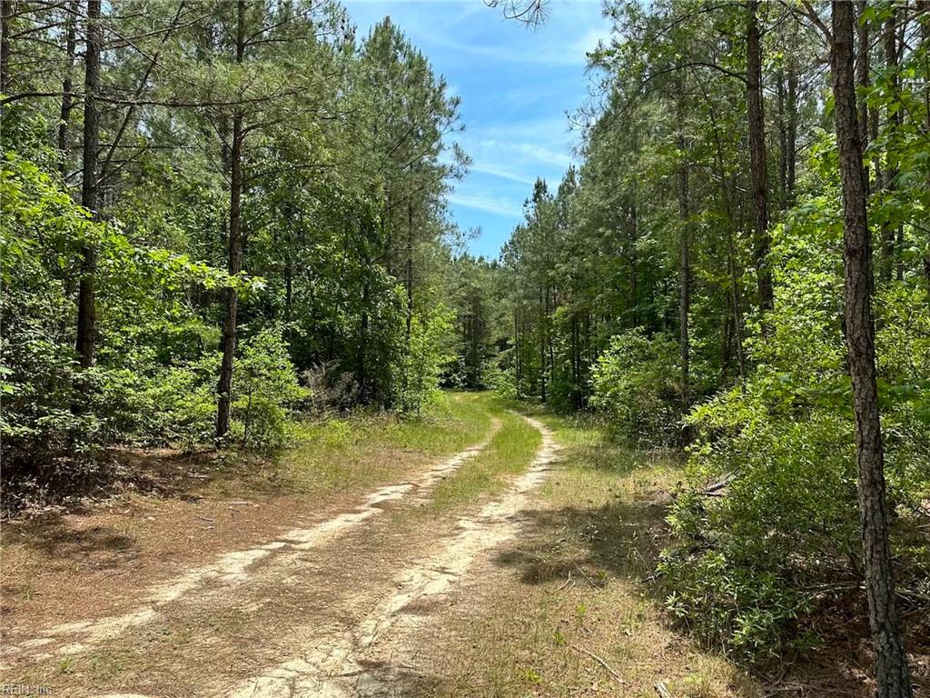145ac Moore's Ferry Rd Property Photo 23