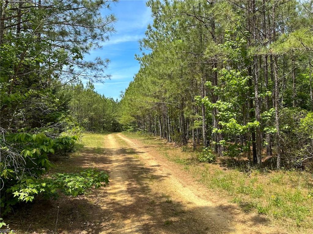 145ac Moore's Ferry Rd Property Photo 24