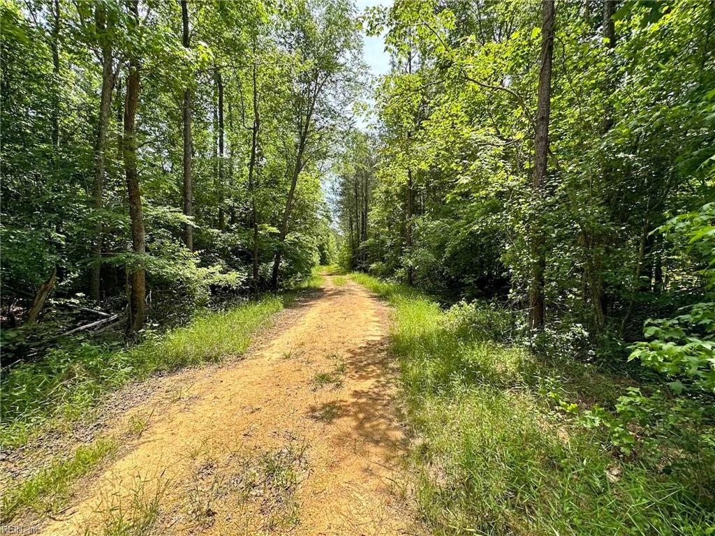 145ac Moore's Ferry Rd Property Photo 25